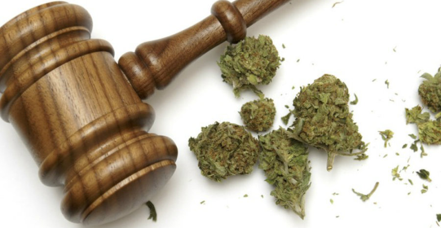 Governors want to protect pot from federal government law enforcement on marijuana