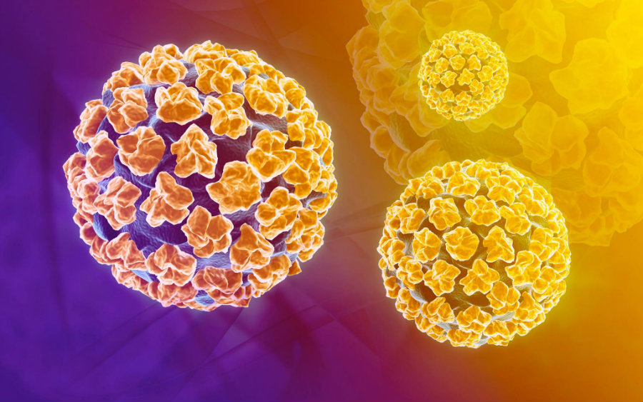 Over 40 types of HPV can be transmitted through the skin and mucous, and at least 13 types cause cancer. Photo credit: Nutrition Review