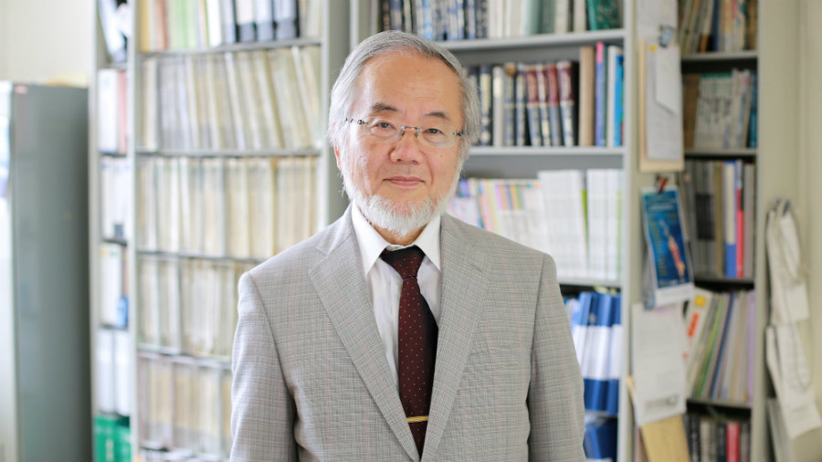 Yoshinori Ohsumi awarded with Nobel Prize