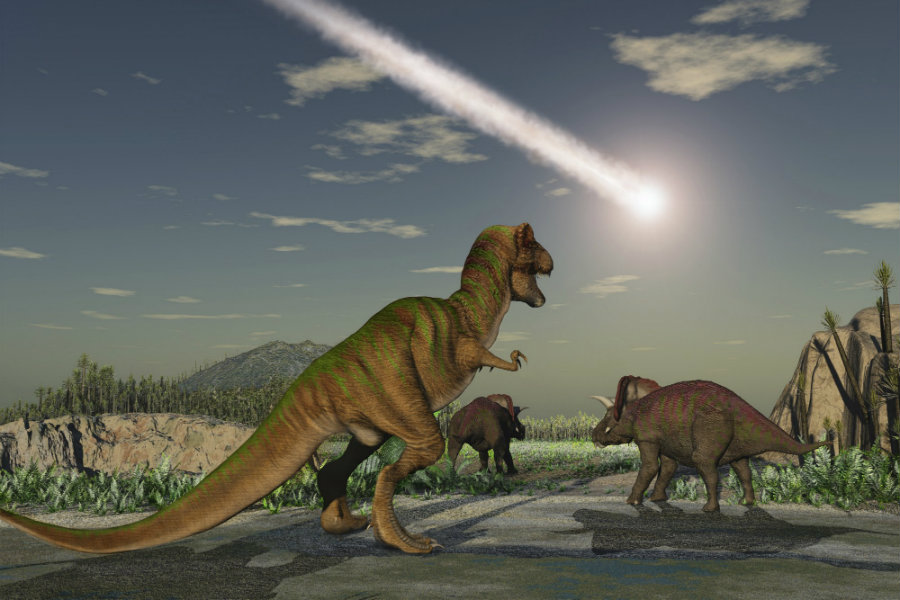 It is believed that 66 million years ago, a massive asteroid smashed near to the Yucatan Peninsula of Mexico. Photo credit: iStockphoto / The Daily Beast