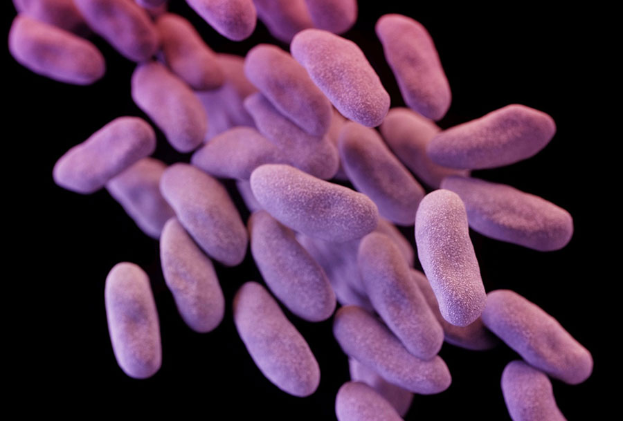 superbug-antibiotics