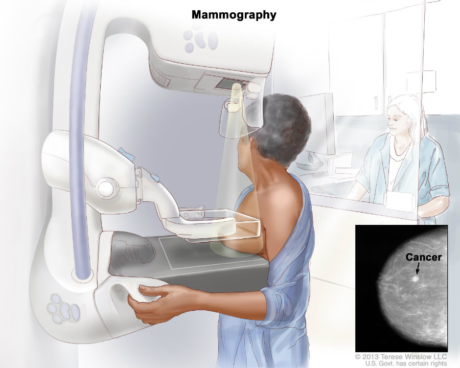 Image credit: National Cancer Institute