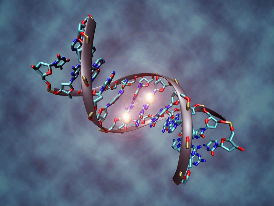 The key behind how CancerLocator works is that it focuses on DNA methylation. Image credit: Christoph Bock, Max Planck Institute for Informatics / Wikipedia