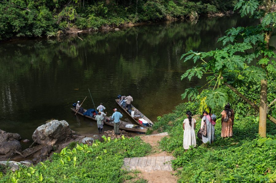 Bolivia's Tsimimane