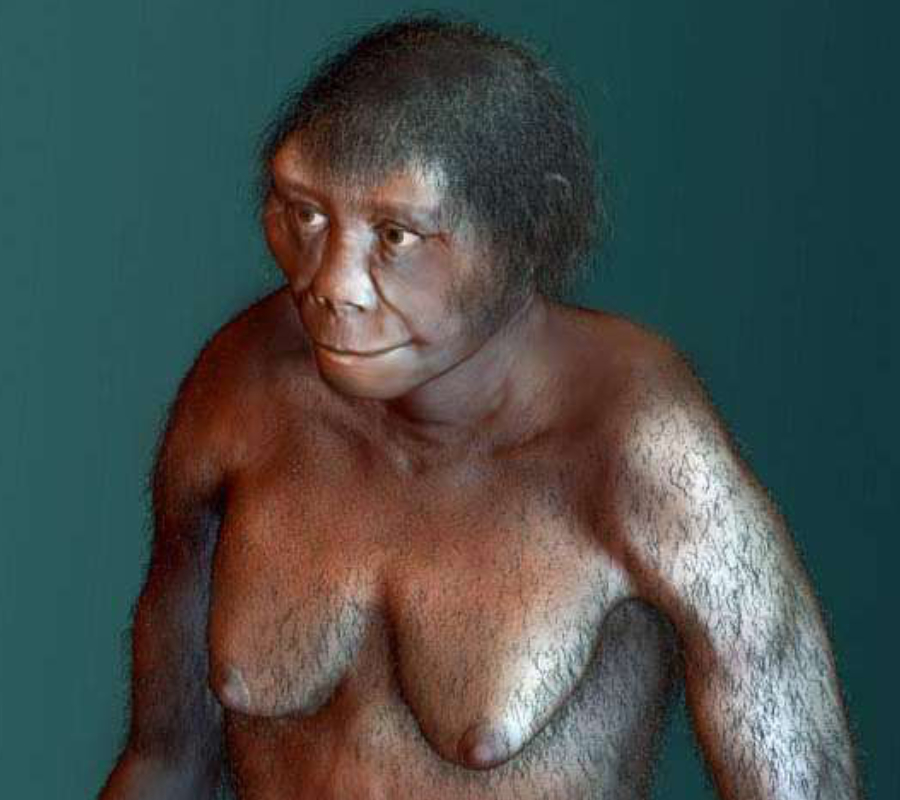 Homo floresiensis. Человек с острова Флорес хоббиты.