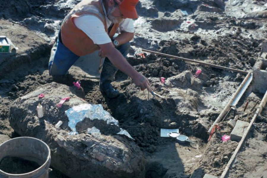 Archaeologists found new evidence that suggests the possibility of ancient hominids living in the state of California at least 130,000 years ago. Image credit: San Diego Natural History Museum / Handout via Reuters