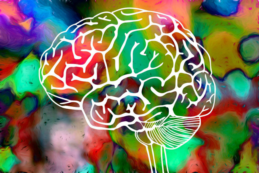 Under the influence of psychedelic drugs, the brain experiences a much higher degree of neural signal diversity. Image credit: The Daily Beast