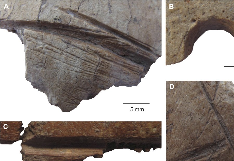 Image B shows the drilled skull. Credit: Julia Gresky, DAI