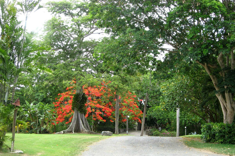 St. George Village Botanical Garden. Image credit: Jason P. Heym / Wikipedia