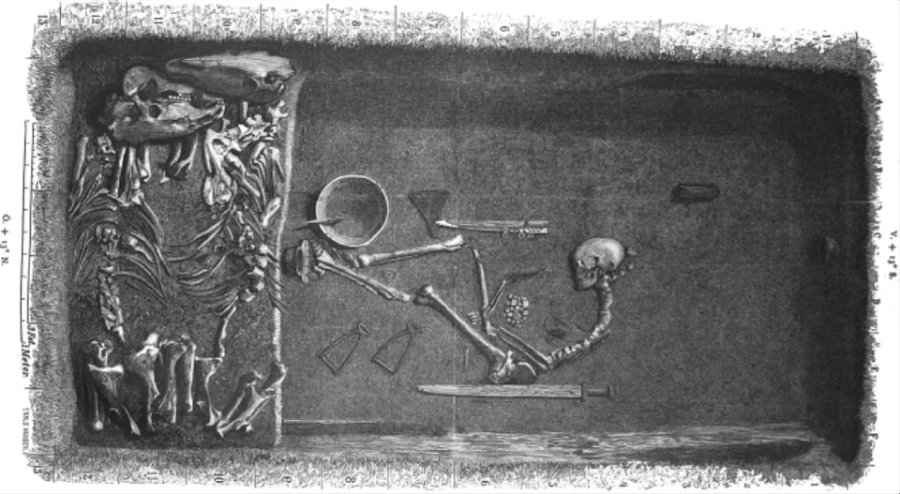 Forbes: Illustration by Evald Hansen based on the original plan of grave Bj 581 by excavator Hjalmar Stolpe (1889). Image credit: American Journal of Physical Anthropology, CC BY 4.0 / Forbes