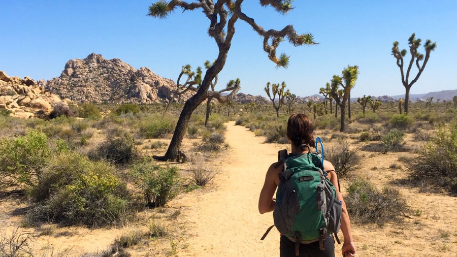 Missing hikers Joshua Tree, Joshua Tree National Park murder suicide, Joseph Orbeso