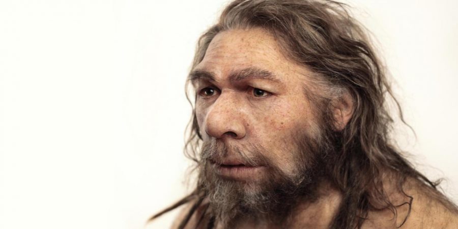 Neanderthal vs Homo Sapiens, Neanderthal similar modern human, Neanderthal Homo Sapiens encounter