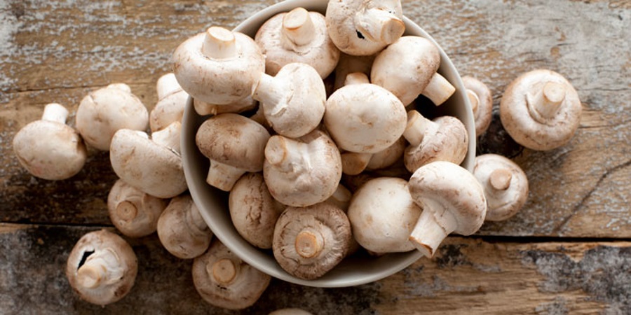 Mushroom nutrition facts, Mushroom health benefits, Mushrooms