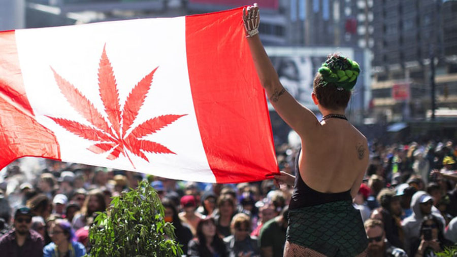 Marijuana turning legal in Canada, Next summer for recreational pot, Julian Fantino