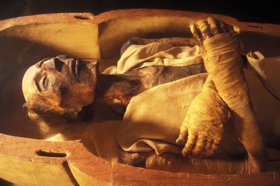 Mummies who shared mother but not father, Two mummies had same mother and different father, Nakht-Ankh and Khnum-Nakht, Tomb of Two Brothers