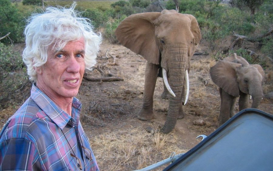 Ivory trade, Kenya, Esmond Bradley Martin, United states of america