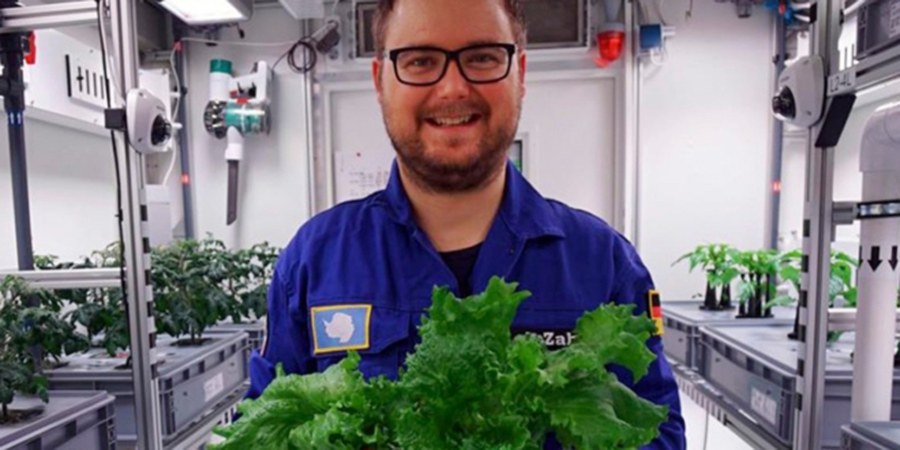 Vegetables, Antarctica