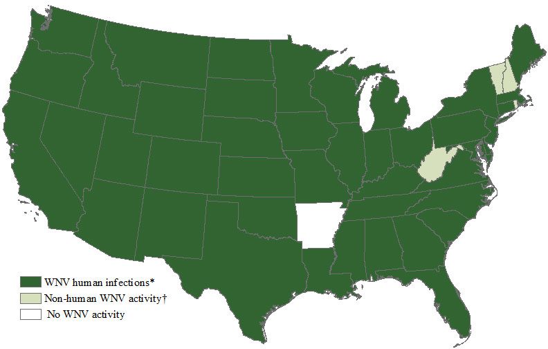 West Nile virus affects across the US