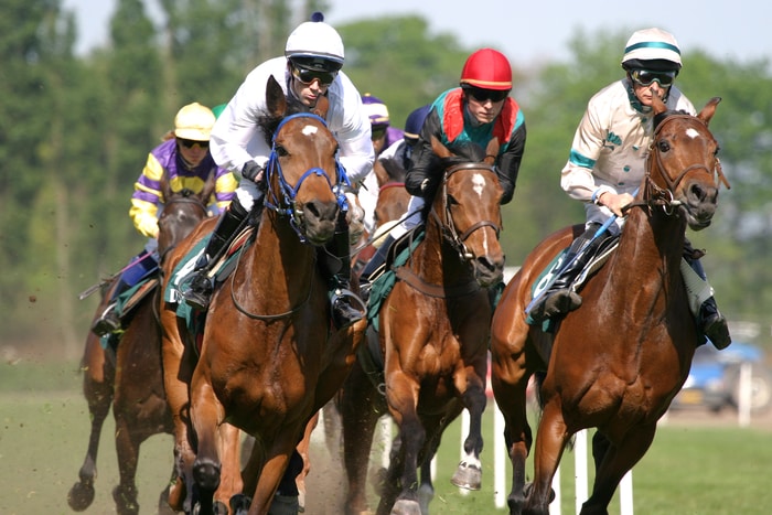 Horse Racing in Motion