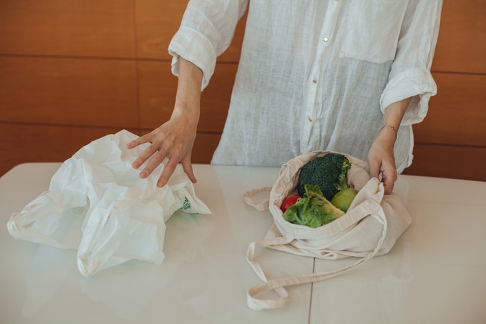 Eco Friendly Grocery Bags