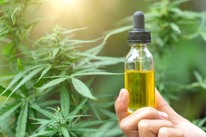 CBD Is Everywhere, But Should We Be Concerned?