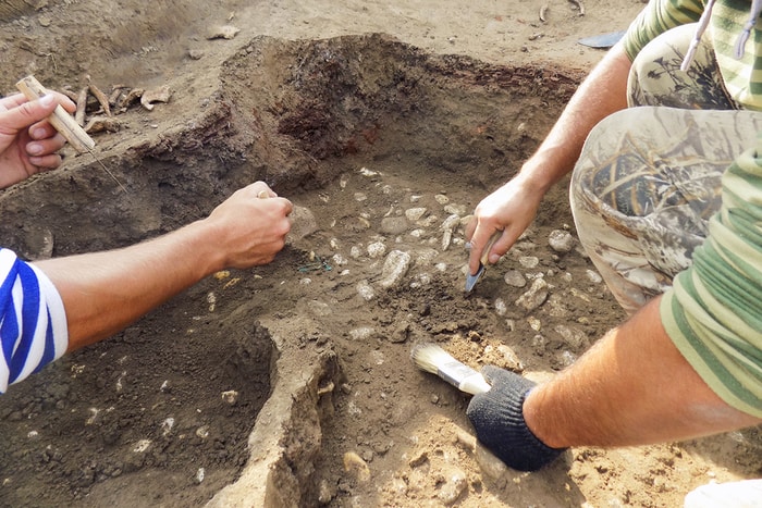 Paleontologists Discover New Marine Reptile That Lived 200 Million Paleontologists Discover New Marine Reptile That Lived 200 Million
