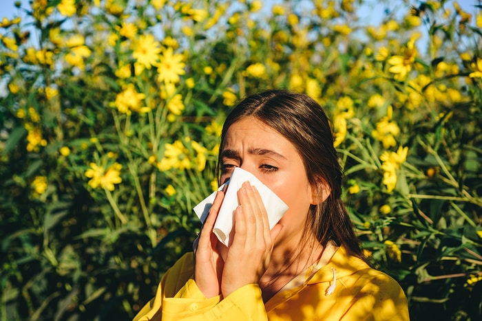 Are You Suffering from Allergies? Symptoms to Watch Out