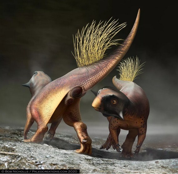 Paleontologists Get a Rare Glimpse into the Butt and Cloaca of a Dinosaur