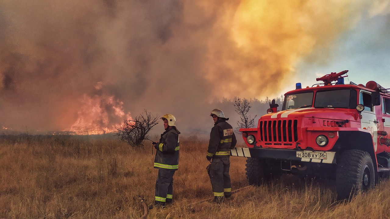 750 COVID-19 Deaths Linked to Wildfires in Washington, Oregon, and California