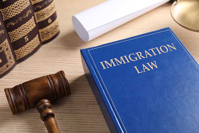 Immigration Rights in the USA