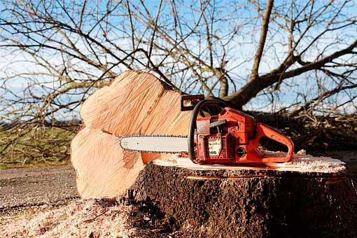 Expert Advice on How to Pick the Right Chainsaw for Your Next Project