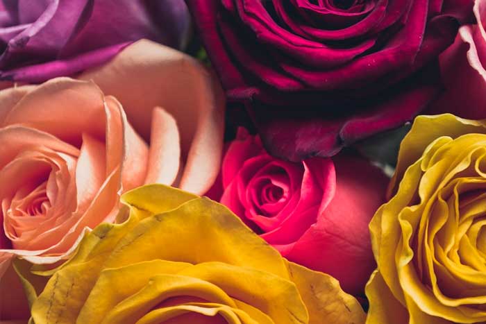 Five Things You Need to Know Before Ordering Flowers Online