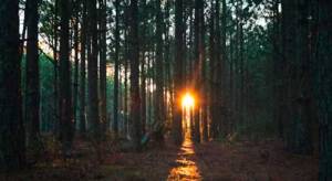Pastor Chet Lowe Reflects on What Strong Churches Are Built On