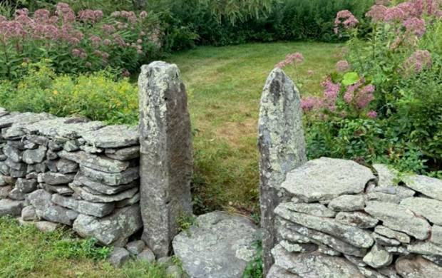 Native Landscaping in Vermont: A New Paradigm